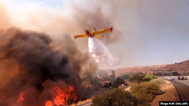 Кількість жертв пожеж у Каліфорнії перевищила 40. Шокуючі фото та відео