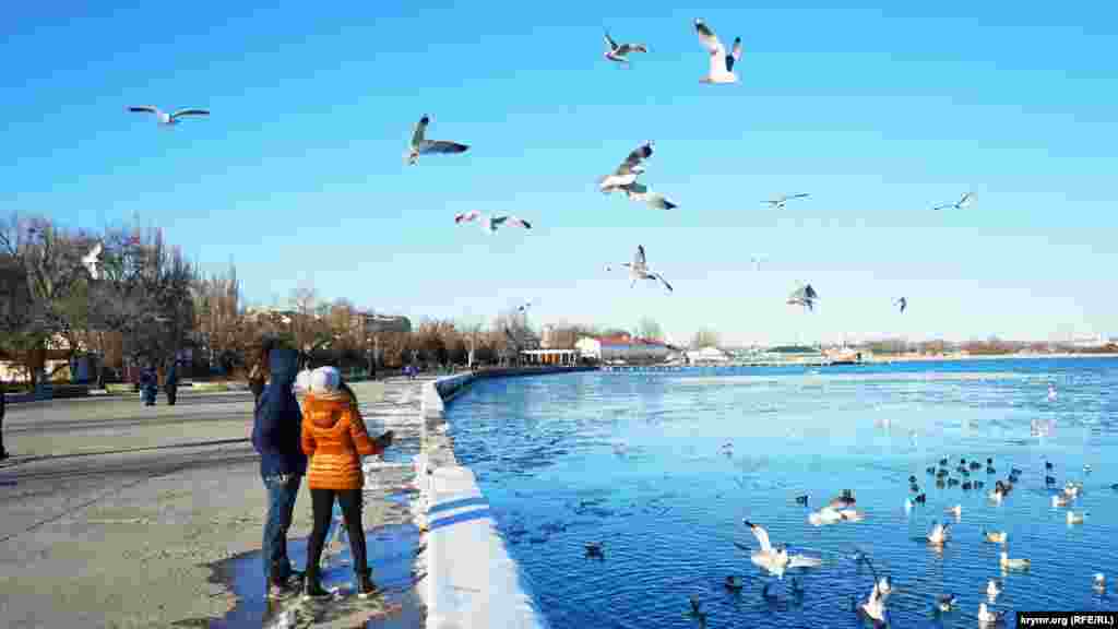 Люди кормят птиц на набережной в Керчи, 20 февраля 2017 года