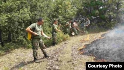 Армијата на Република Македонија ги гаси шумските пожари