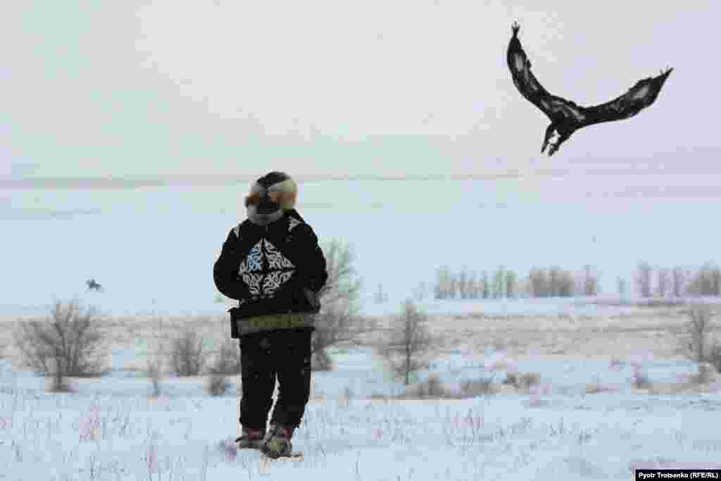 A bird flies freely before returning to its master. In other parts of the competition, the eagle must catch a fox&#39;s hide as it is dragged behind a horse, then catch a rabbit released for the tournament. &nbsp;