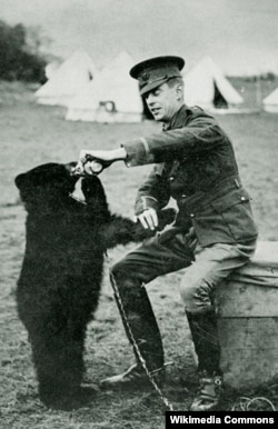 İngilis zabiti Harry Colebourne və ayı balası Winnie, 1914-cü il. Sonradan bu ayı "Vinni-Pux" povestinin qəhərəmanına çevriləcəkdi.