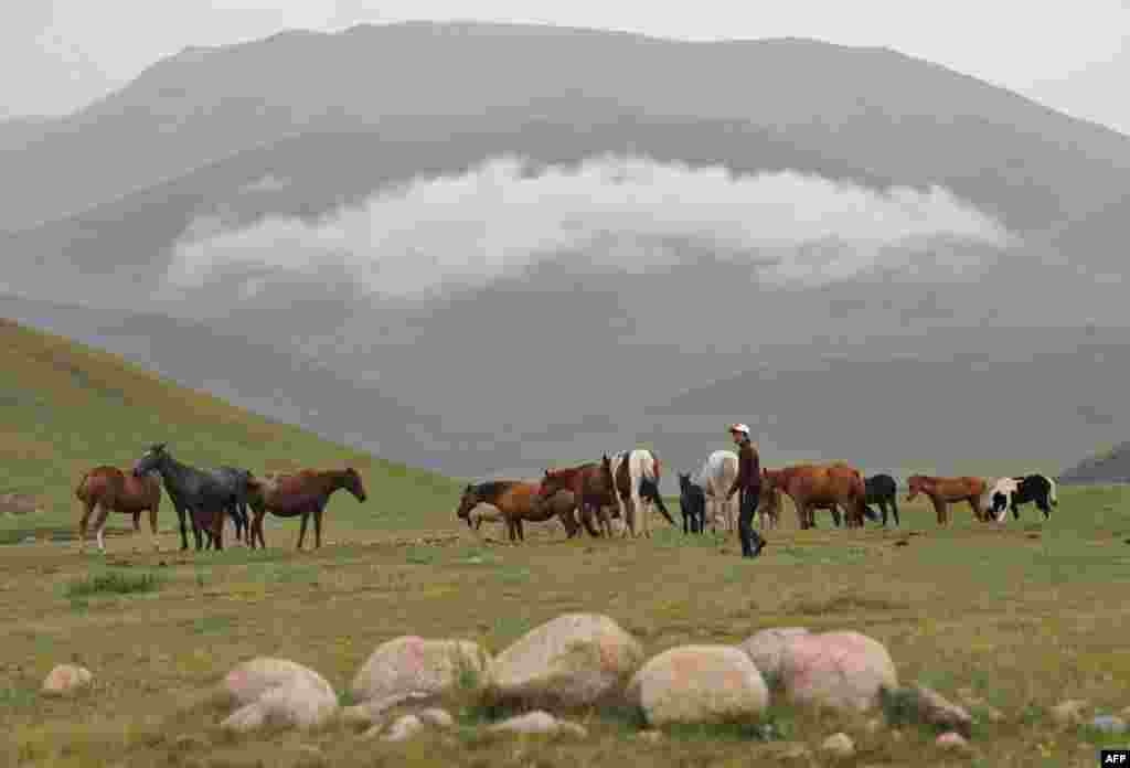 A Kyrgyz herdsman grazes horses on a pasture of the Suu-Samyr plateau, 2,500 meters above sea level, along the ancient Silk Road from Bishkek to Osh. (AFP/Vyacheslav Oseledko)