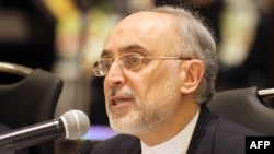 علی اکبر صالحی، رييس سازمان انرژی اتمی ایران