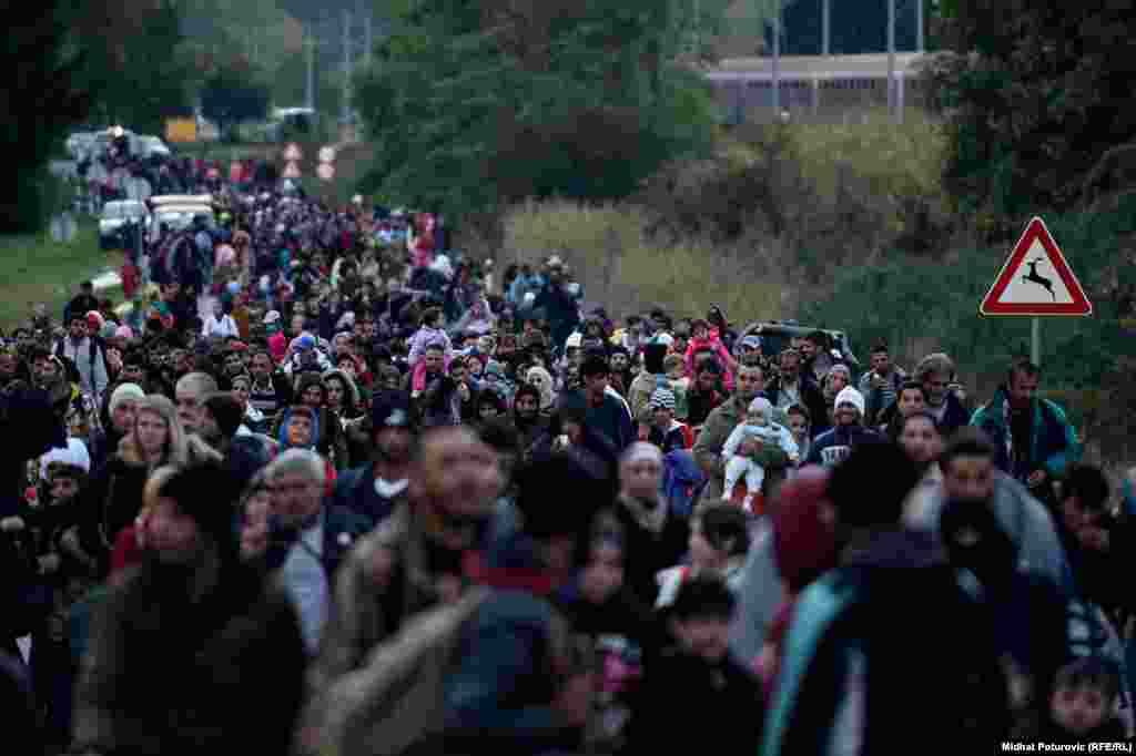 Izbjeglice se kreću prema Mađarskoj