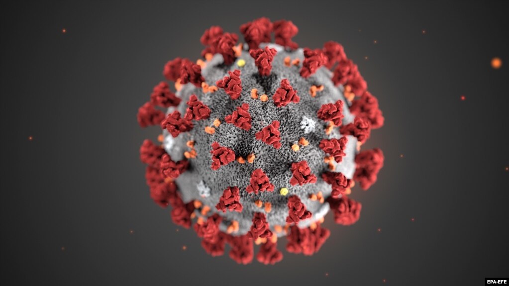 ریخت‌شناسی ویروس کرونای جدید موسوم به «ویروس کرونای سارس-۲» عامل بیماری «کووید-۱۹»