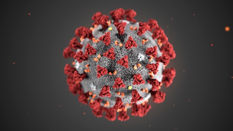 СЗО: Земјите со сериозни епидемии на коронавирус да се разбудат 