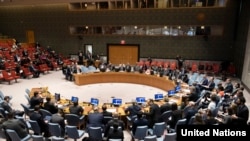 Во время заседания Совбеза ООН по поводу ситуации в Украине, Нью-Йорк, 12 февраля 2019 года