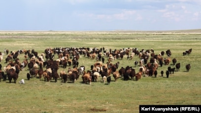 Орыс порно өкшесі мен етік