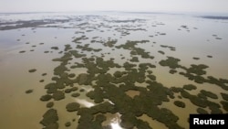 Каспий теңізі Қашаған кен орны маңындағы жайылма су. (Көрнекі сурет)