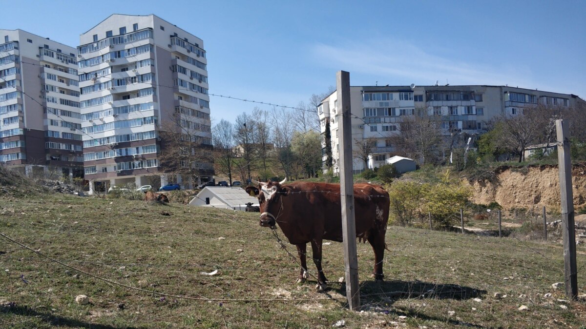 По Доковому оврагу в Севастополе (фотогалерея)