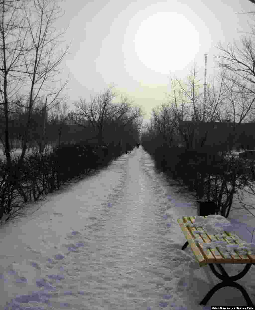 Скамейка в городском парке.
