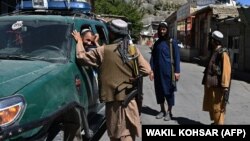 آرشیف، شماری از نیروهای گروه طالبان