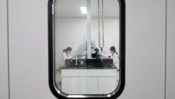 Prizor iz laboratorije tvrtke Sinovac Biotech, Kina