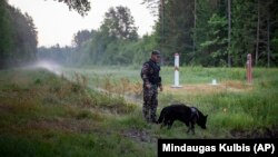 Литовський прикордонник патрулює на кордоні з Білоруссю, недалеко від містечка Капчаміестіс, приблизно 160 км (100 миль) від столиці Вільнюса, 10 червня 2021 року