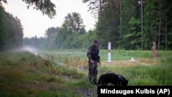 Poliția de frontieră lituaniană la granița cu Belarus, iunie 2021