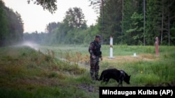 A Lithuanian border guard patrols on the frontier with Belarus, some 160 kilometers from the capital, Vilnius. 