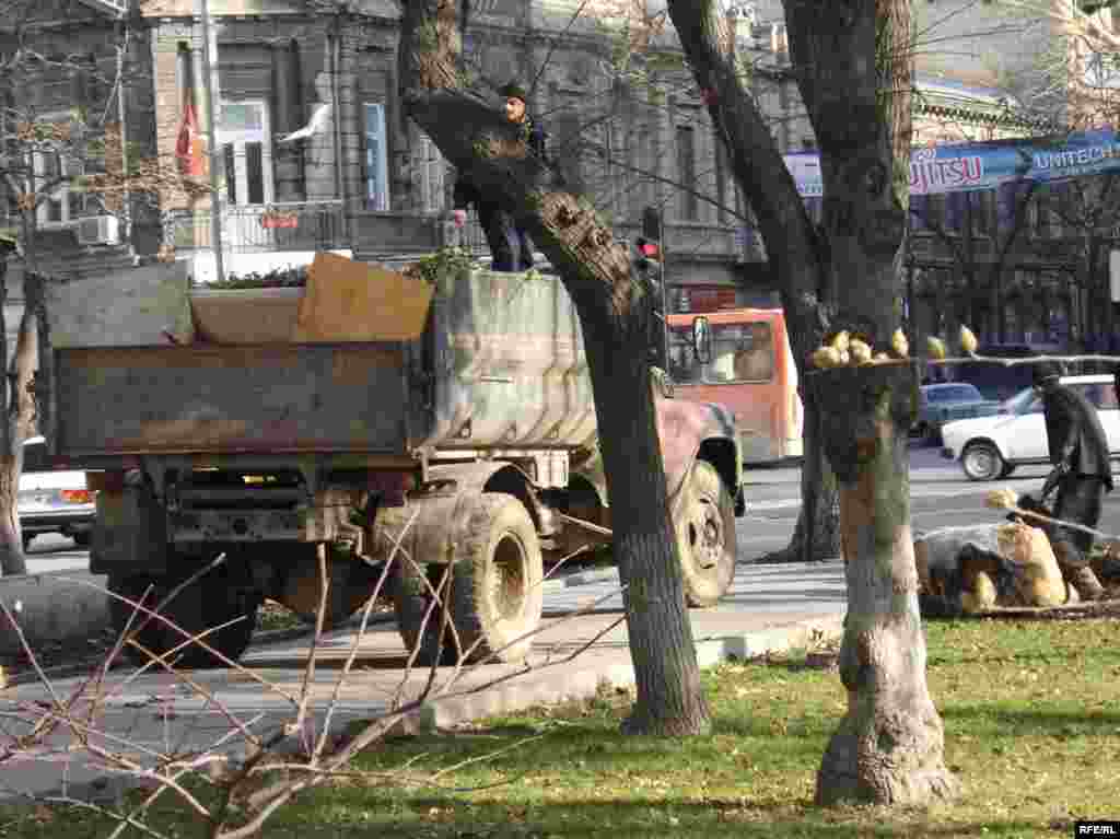 Nəhayət ki, zibil maşını mənzil başındadır