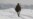 At Least 16 Kids Die In Afghan Cold