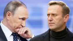 Цитаты Свободы. Путин о Навальном и блогеры о Михалкове