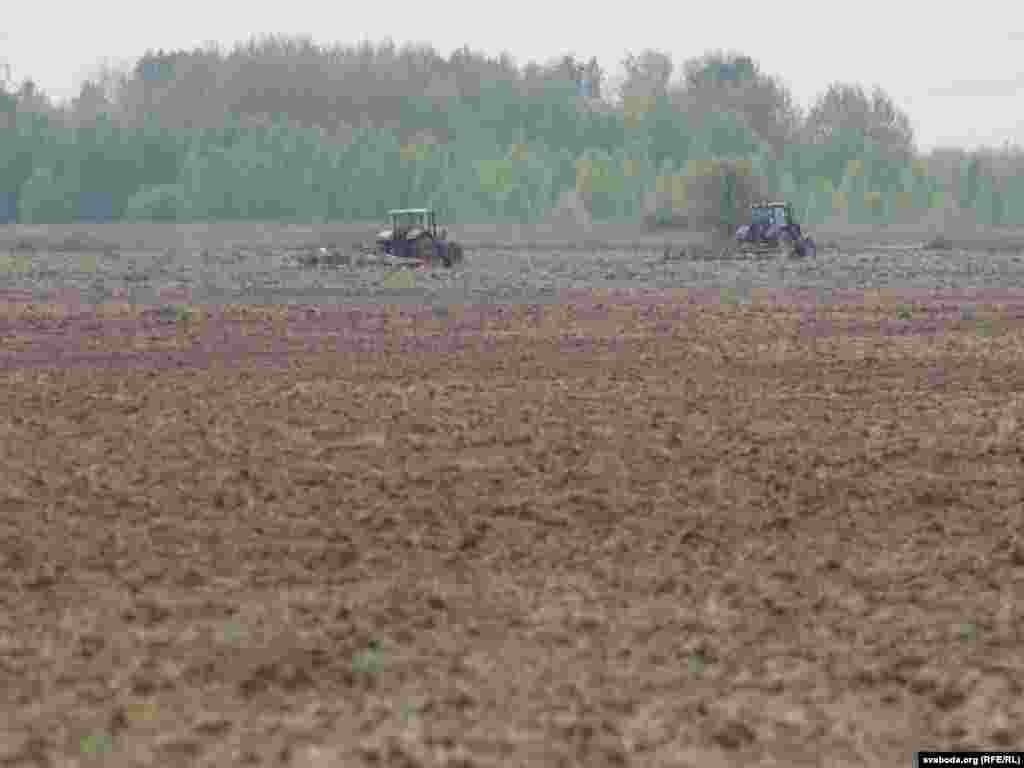 У гэтым годзе пачалі асвойваць землі ў радыяцыйнай зоне, ужо пачалі сеяць ячмень і кукурузу