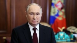 Абхазские и югоосетинские политики агитируют за Путина