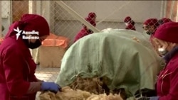 Özəl sektorda çalışırsansa, 2026-ci ildə aldığın maaş azala bilər - 3 faizdən 14 faizə kimi vergi gözlənilir