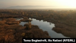 კრწანისის ჭალის ტყე