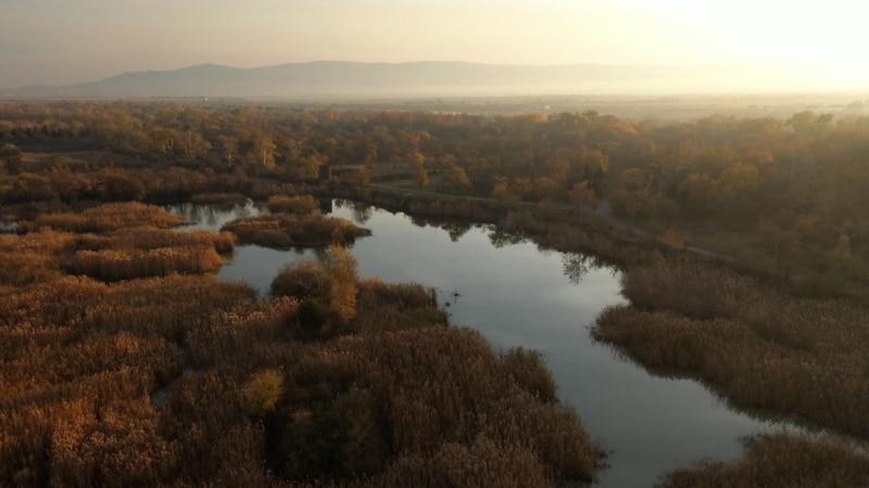 "იგლ ჰილსის" უბანი ნაკრძალში - როგორ დავათვალიერეთ კრწანისის ჭალები