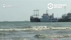 Аномальная жара привела к размножению токсинов на побережье Балтийского моря
