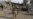 UN: Record Number Of Afghan Deaths