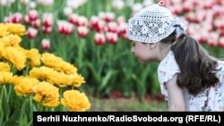 Фоторепортаж: на Співочому полі відкрилася виставка тюльпанів «Навколо світу»