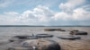 Бурятия: озеро Байкал почернело, а в воздухе запахло мазутом 