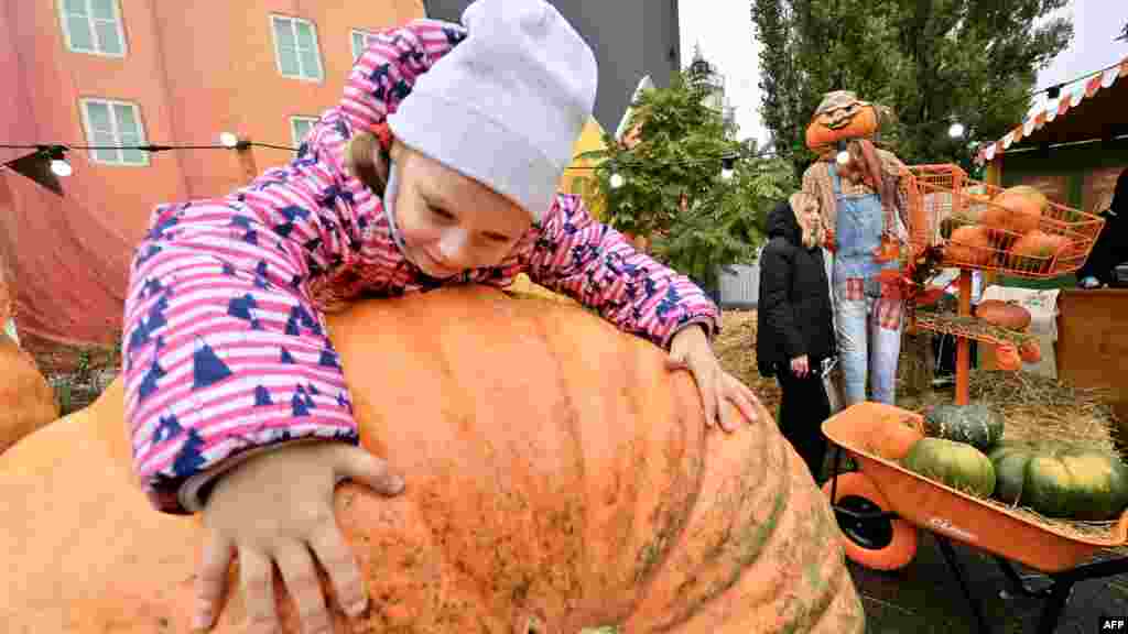 A programok főszereplői természetesen a klasszikus, narancsszínű sütőtökök voltak, amelyek között igazi óriások is akadtak