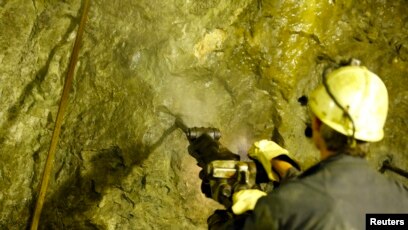 Tukli rus mushukining kunnilingusi