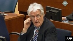 Radovan Karadžić u sudnici, 2013.