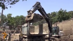 Georgians Search For Dead Tiger At Tbilisi Zoo