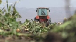 Կառավարությունը մտադիր է 6 մլրդ դրամ հատկացնել պարարտանյութի սուբսիդավորման համար