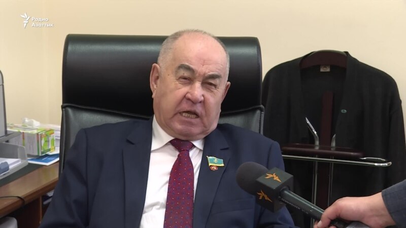 «Мы должны думать о безопасности» – депутаты о предложении Токаева