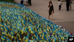 Thousands of Ukrainian flags to honor soldiers killed fighting Russian troops are seen in a garden in Kyiv's Independence Square on August 28.