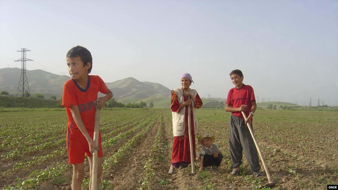 Tajikistan says it needs $260 million to fund its poverty-reduction program. The Ernst & Young audit's findings could put the country's ability to secure foreign investment.