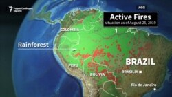 Бразил ја отфрли помошта на Г7 за пожарите
