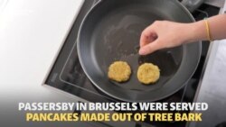 Bark Soup In Brussels: Experiencing The Horror Of The Holodomor
