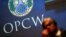 The OPCW has been investigating the poisoning of former Russian double agent Sergei Skripal and his daughter with a nerve agent in the English city of Salisbury in March.