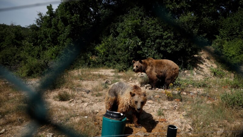 Arinjtë në strehimoren e Prishtinës presin vizitorët e munguar