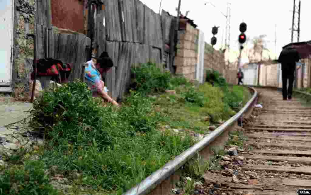 Bakının Şanxayı #25