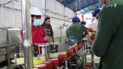  شرکت پروسس لبنیات و مربا در هرات با نبود برق کافی و مشکل انتقال آب ضایعات مواجه است 