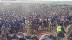 Өзгөн: Кырсык коштогон аламан улак