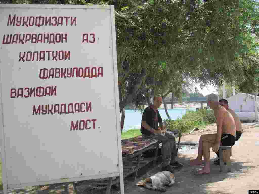 Гар шиновар нестӣ... #14