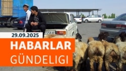 HG: Mallaryň “näbelli” keselden gyrylmagy ahallylary alada goýýar