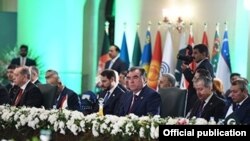 Ykdysady hyzmatdaşlyk guramasynyň sammiti, Yslamabat 